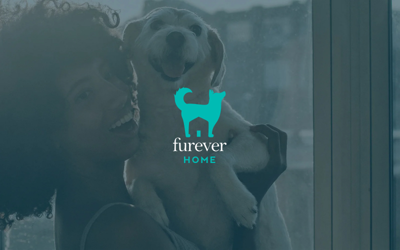 Furever Home branding